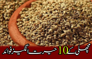 ajwain feature post