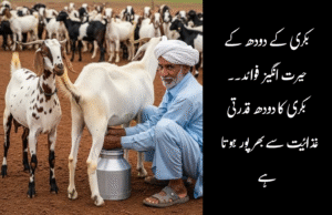bakri